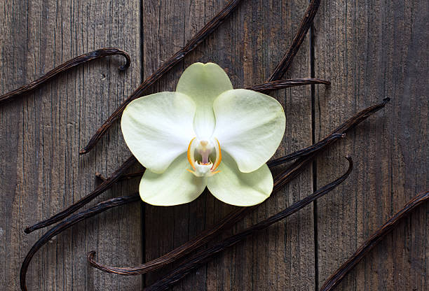 istock Vanilla sticks and flower on the wood 157609373