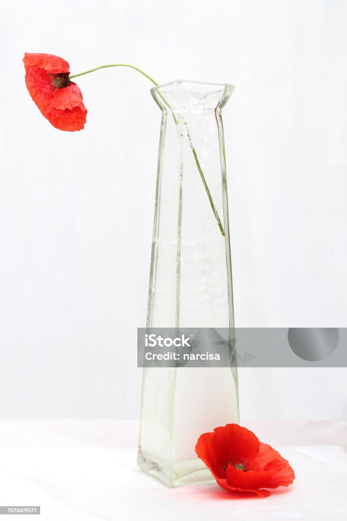 Stillleben mit poppies - Lizenzfrei Blume Stock-Foto