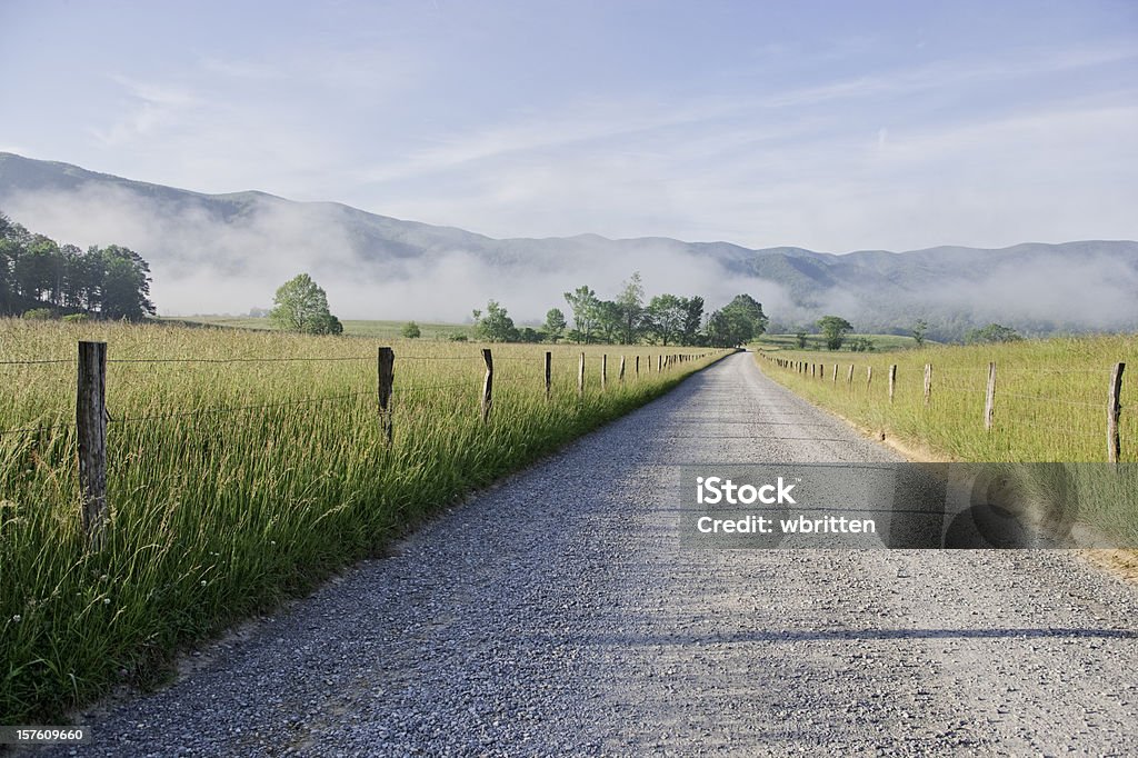 Zatoczka chamów rano w gór Smoky Mountains - Zbiór zdjęć royalty-free (Stan Tennessee)