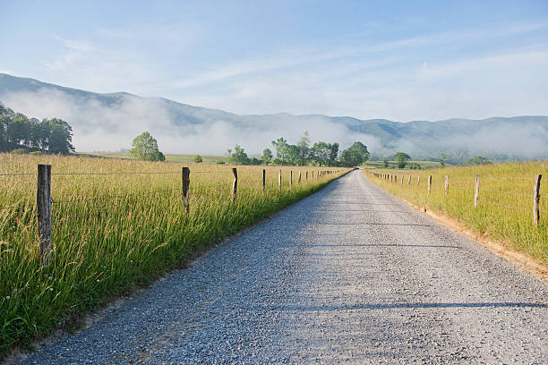 cades cove manhã do efeito smoky montanhas - cades imagens e fotografias de stock