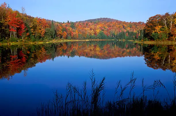 Photo of New England Autumn Pond