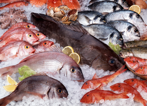 Variety of raw fresh fish,salmon,octopus,red mullets,gilt-head breams,pagellus,sea breams,trouts,crustacean,etc.