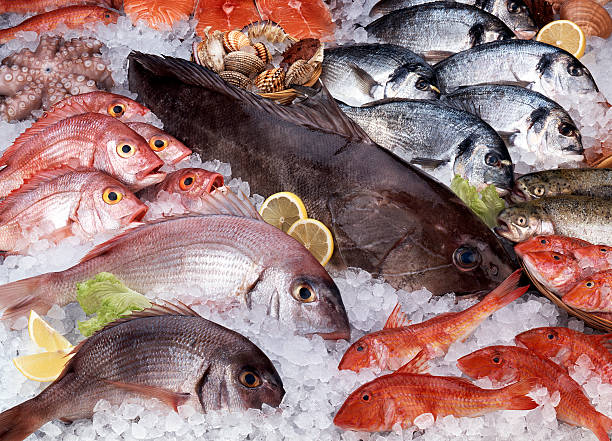 Fresh fish Variety of raw fresh fish,salmon,octopus,red mullets,gilt-head breams,pagellus,sea breams,trouts,crustacean,etc. fish market photos stock pictures, royalty-free photos & images