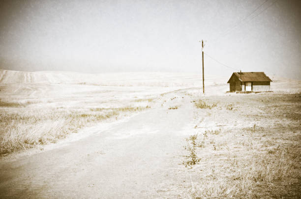 istock Shack in the Country 157610346