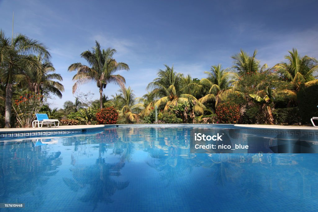 Piscina resort Tropical - Royalty-free Piscina Foto de stock