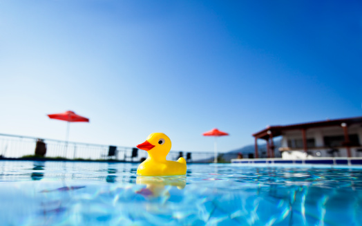 Yellow duck in swimming pool. View from water.