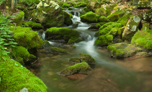 Refreshing, cool mountain stream, water motion blurred with long exposure, 