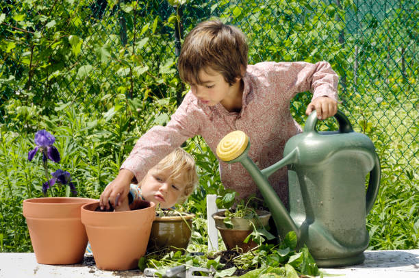 istock Two little boys making a mess gardening 157610695