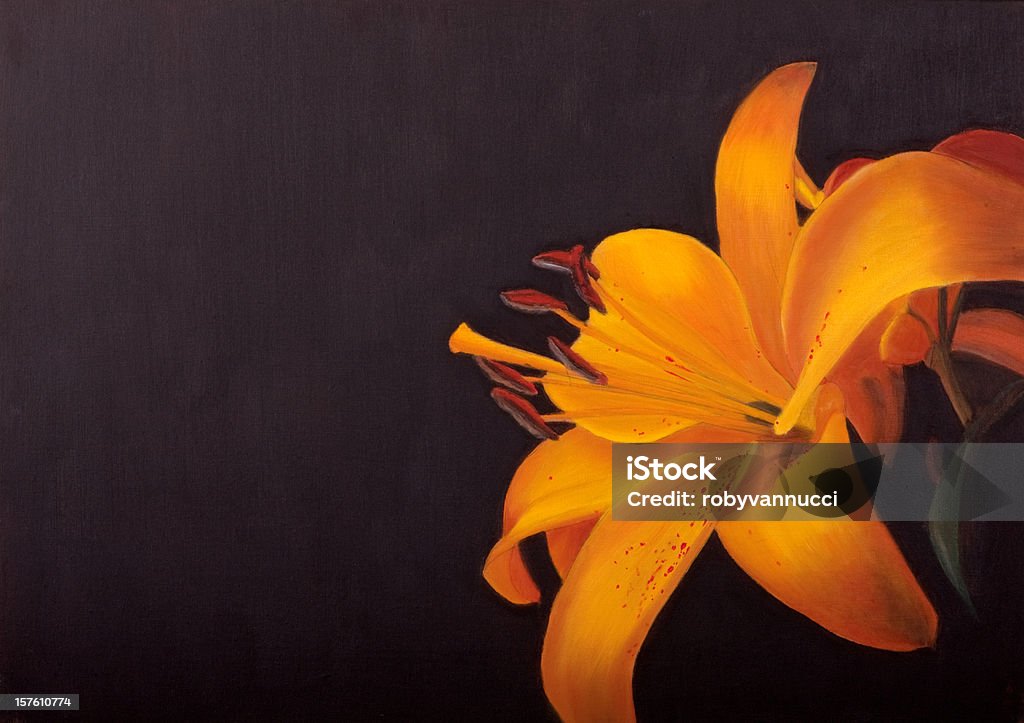 Żółty/pomarańczowy Lilia na ciemnym tle (Malarstwo olejne - Zbiór ilustracji royalty-free (Kwiat - Roślina)