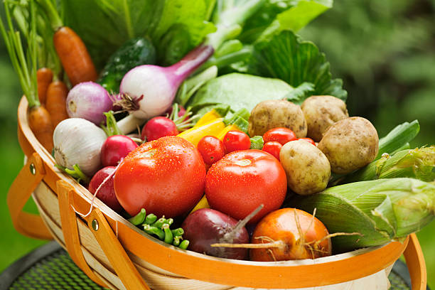 サマーガーデンハーヴェストの新鮮な野菜マーケットのバスケット - vegetable basket ストックフォトと画像