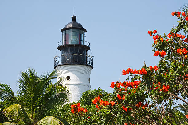 farol de key west - key west imagens e fotografias de stock