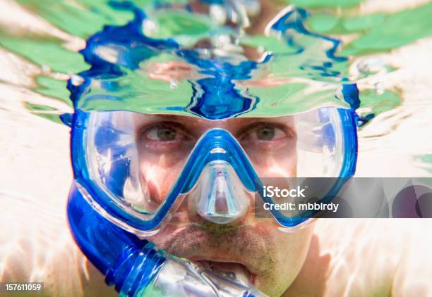 Hombre Adulto Buceo Con Esnórquel En El Mar Foto de stock y más banco de imágenes de 40-44 años - 40-44 años, Actividades recreativas, Adulto