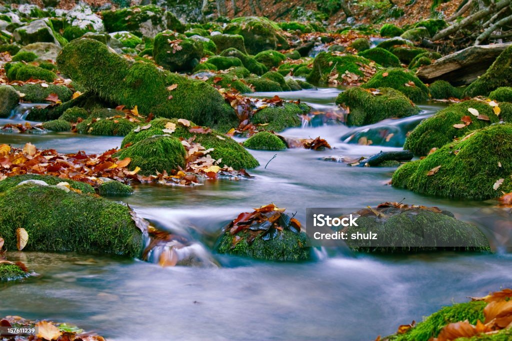 Jesień góry stream - Zbiór zdjęć royalty-free (Bez ludzi)