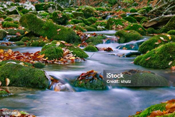 Jesień Góry Stream - zdjęcia stockowe i więcej obrazów Bez ludzi - Bez ludzi, Brązowy, Czerwony