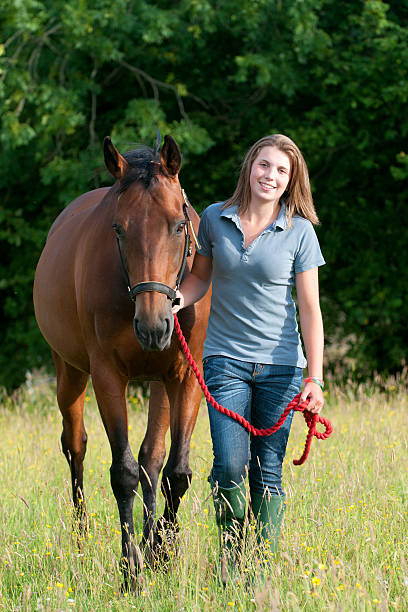 Young woman walking her horse stock photo