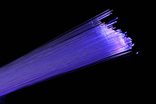 Bunch of blue and purple optic fibers against a black background