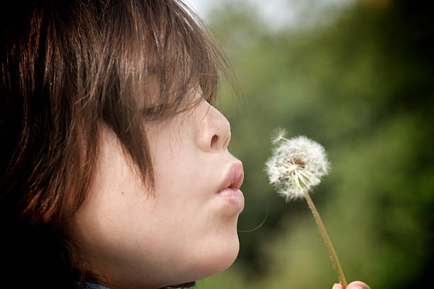 istock Child Blow Dandelion Outdoor 157611452