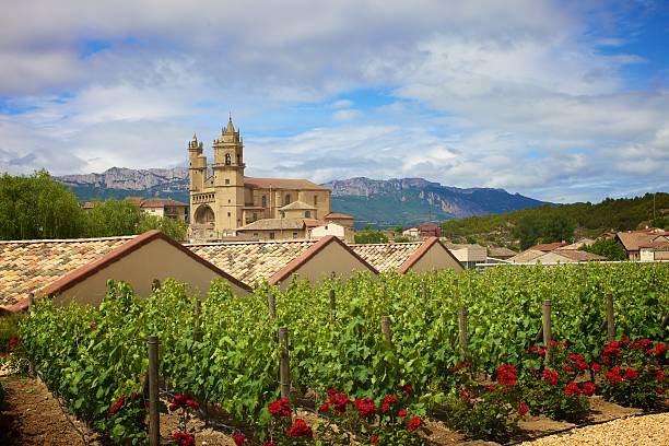 Rioja Winery  rioja photos stock pictures, royalty-free photos & images
