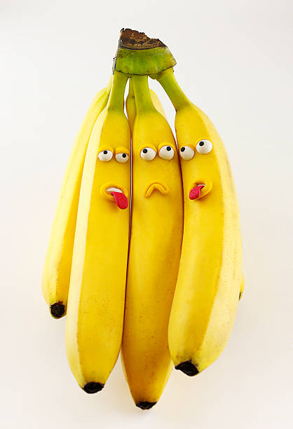 bündel bananen porträt - banana bunch yellow healthy lifestyle stock-fotos und bilder