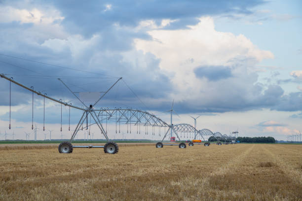 istock irrigation system in the farmland in Netherlands 1576115932