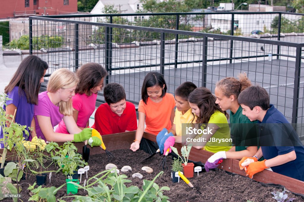 Group of Ethnic Children Planting Urban Roof Garden  Planting Stock Photo