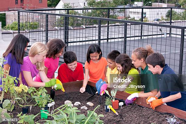 Group Of Ethnic Children Planting Urban Roof Garden Stock Photo - Download Image Now