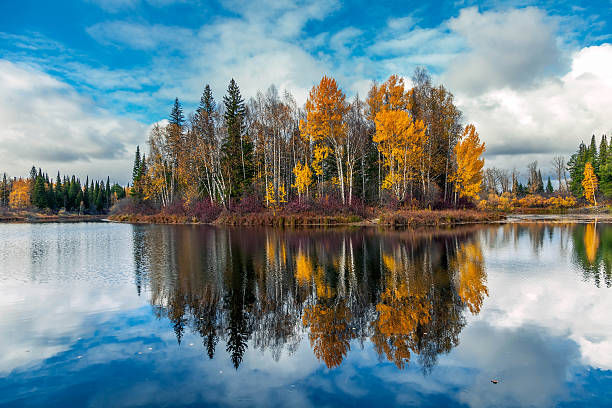 istock Autumn in Siberia 157611715