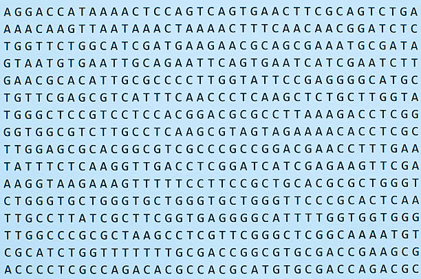 DNA nucleotide sequence printout on paper horizontal orientation