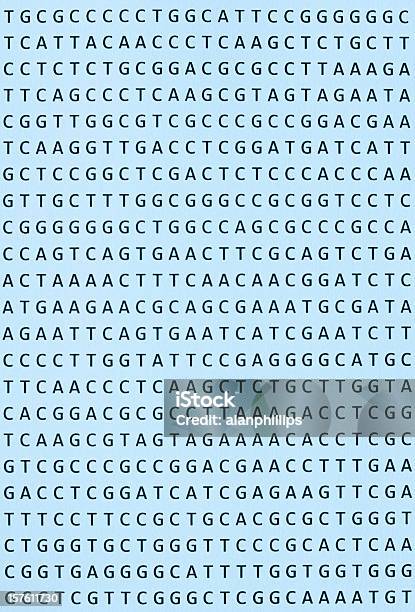 Nucleotide Sequenza Del Dna Stampa Su Carta Orientamento Verticale - Fotografie stock e altre immagini di DNA