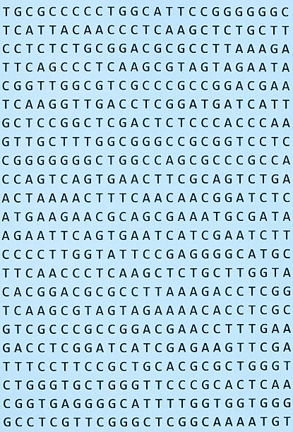 DNA nucleotide sequence print out. Blue tint. This is a photograph of a printout on paper and at 100% the paper texture and imperfections of the letters are visible. Makes a great background for PowerPoint presentation for molecular biology, genetics, systematics or genomics lectures.