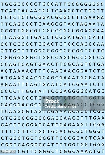 Adn Sequência Nucleotídica Impressão Em Papel Orientação Vertical - Fotografias de stock e mais imagens de ADN