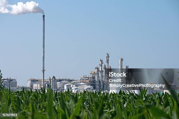 Photo libre de droit de Le Champ De Maïs Plante Ethanol banque d'images et plus d'images libres de droit de Agriculture - Agriculture, Biocarburant, Bâtiment agricole