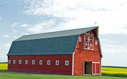 A well kept and painted red barn with a green emerging canola field behind it and a cloudy summer sky. Side view