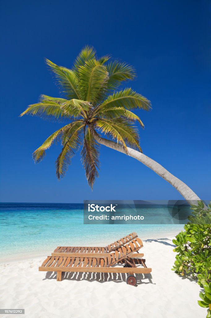 Plage pour se détendre sous palmtree - Photo de Arbre libre de droits