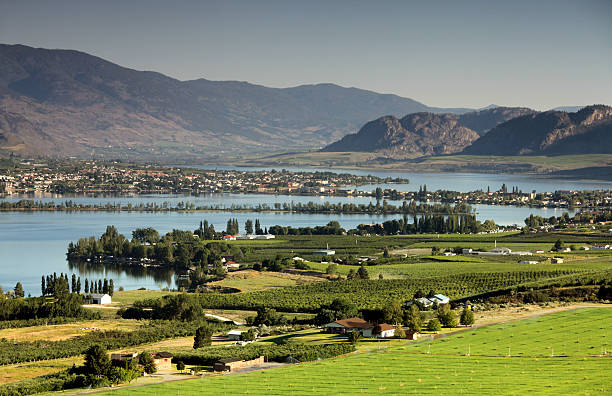 osoyoos - lake canada field okanagan 뉴스 사진 이미지