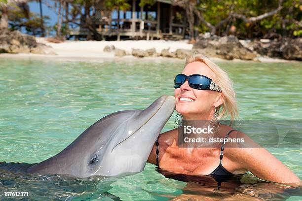 Общение С Дельфинами Kiss — стоковые фотографии и другие картинки Дельфин - Дельфин, Лицом к лицу, Отпуск