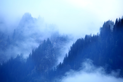 smoke covered forest on Swiss Alps.