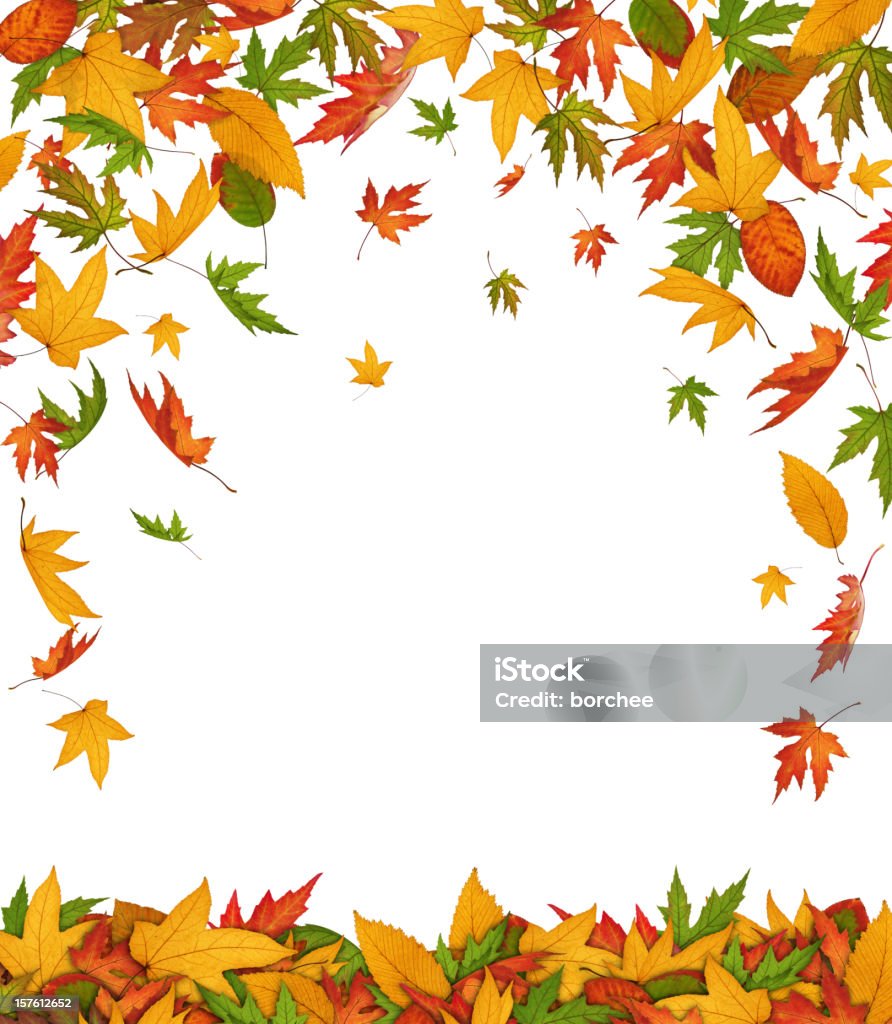 Autunno lascia cadere - Foto stock royalty-free di Cadere