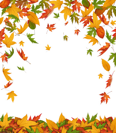 Falling autumn leaves on white background.