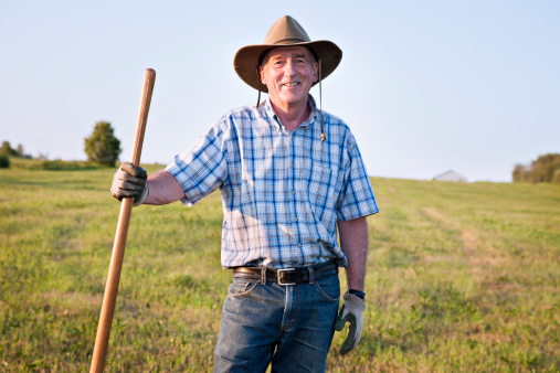 Senior farmer standing in field, lit sideways by sunset with clear blue sky as a background.