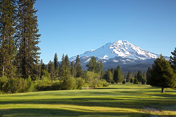 Golf course and Mt Shasta morn An early morning view of Mt Shasta in late Spring as seen on a golf course. mt shasta photos stock pictures, royalty-free photos & images