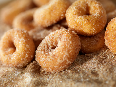 Cinnamon and Sugar Mini Donuts-Photographed on Hasselblad H3D2-39mb Camera