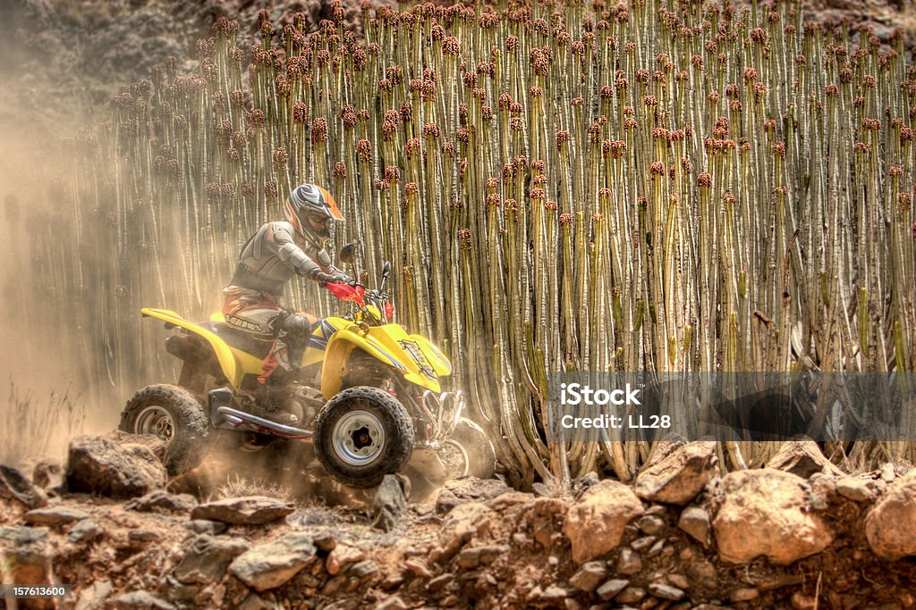 ATV - Lizenzfrei Quadbike Stock-Foto