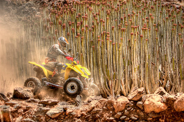 atv - off road vehicle quadbike motocross desert - fotografias e filmes do acervo