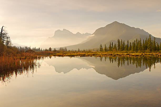 Vermilion Lakes near Banff in Canada just after sunrise. A virtually still lake provides mirror reflections of Mount Rundle and Sanson Peak. A warm light reflecting off an overcast sky has nicely lit and exposed the trees and reeds along the edge of the lake.