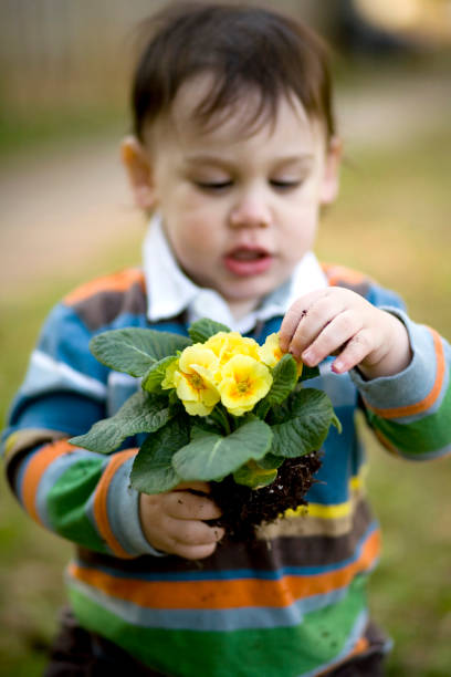istock Toddler playing she loves me not. 157613638