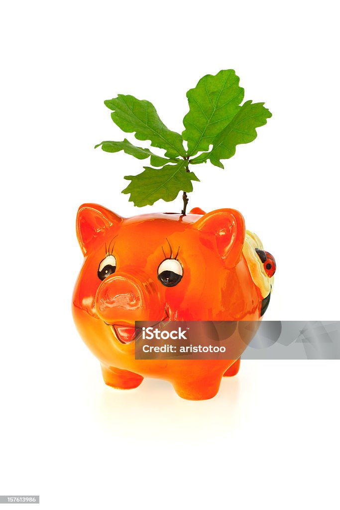 Рост сбережений (изолированный Свинья-копилка с Дуб - Стоковые фото Финансы роялти-фри