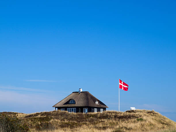 típica dinamarquês chalé - denmark house cottage rural scene - fotografias e filmes do acervo