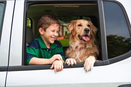Seven Year Old Boy with Golden Retriever in a vehicle.