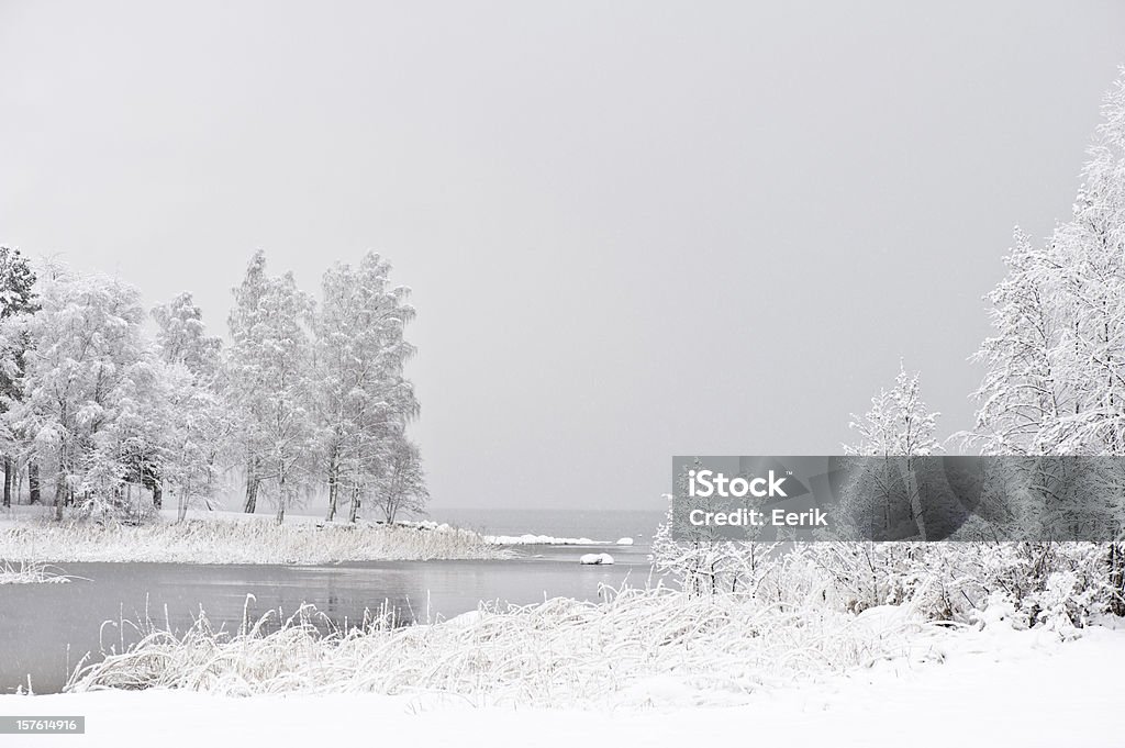 Śnieżyć na jezioro - Zbiór zdjęć royalty-free (Finlandia)
